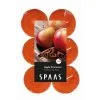 Spaas Theelicht Maxi Appel Kaneel - 10 Uren - Set Van 12 Stuks