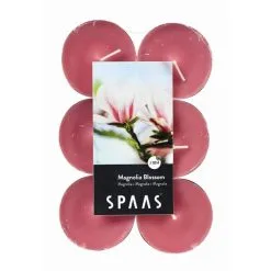 Spaas Theelicht Maxi Magnolia - 10 Uren - Set Van 12 Stuks