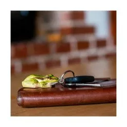 Sleutelhanger Boomkikker In Hout 5 Sleutelhanger Boomkikker In Hout -Tuinbeelden winkel 1593505844 3 600