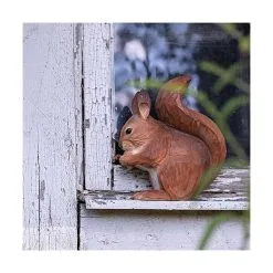 Rode Eekhoorn In Lindenhout - Handgemaakt -Tuinbeelden winkel 1611328813 3 600