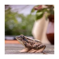 Heikikker In Lindenhout - Handgemaakt -Tuinbeelden winkel 1611661110 2 600