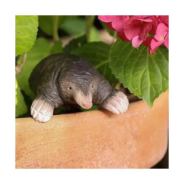 Europese Mol In Lindenhout - Handgemaakt 2 Europese Mol In Lindenhout - Handgemaakt - Afbeelding 2