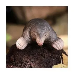 Europese Mol In Lindenhout - Handgemaakt 5 Europese Mol In Lindenhout - Handgemaakt -Tuinbeelden winkel 1611665886 3 600