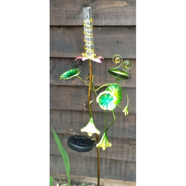 Kikker Met Solar Bloem 3 Kikker Met Solar Bloem - Afbeelding 3