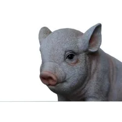 Jong Varkentje Zittend -Tuinbeelden winkel big zittend levensecht 1484055478 2 600