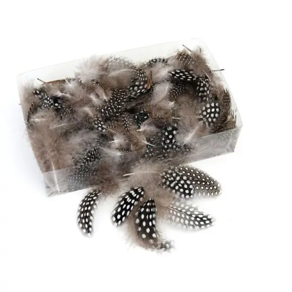 Decoratieve Pluimen - Parelhoen Naturel 1 Decoratieve Pluimen - Parelhoen Naturel