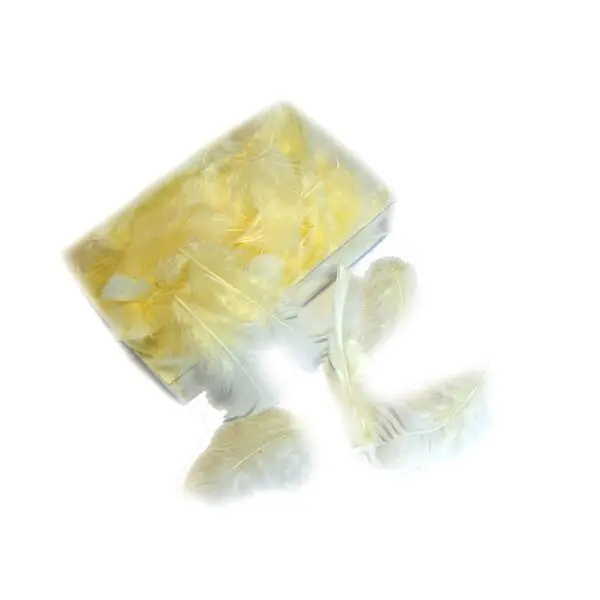 Decoratieve Pluimen - Parelmoer 1 Decoratieve Pluimen - Parelmoer