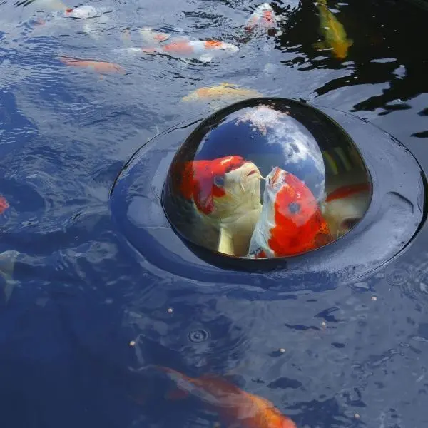 Drijvende Visbeleving - 56 Cm 2 Drijvende Visbeleving - 56 Cm - Afbeelding 2