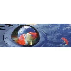 Drijvende Visbeleving - 56 Cm 9 Drijvende Visbeleving - 56 Cm -Tuinbeelden winkel drijvende visbeleving 56 cm 1541778536 1 600