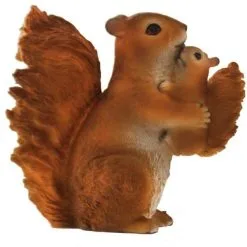 Eekhoorn Moeder Met Kleintje