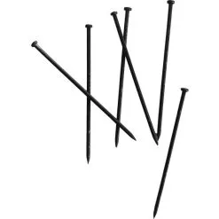 Etalagespelden Zwart - 50 × 1,20 Mm -Tuinbeelden winkel etalagespelden zwart 50 x 120 mm 1596529433 1 600