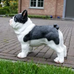 Franse Bulldog Tuinbeeld -Tuinbeelden winkel franse buldog 1569493561 2 600