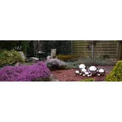 Heksenbollen Inox - Set Van 3 Stuks -Tuinbeelden winkel heksenbollen inox 1484053750 5 600
