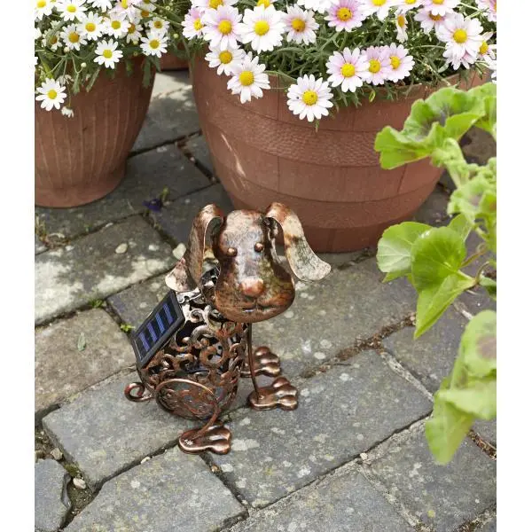 Hond Met Wiebelkop En Solarverlichting 2 Hond Met Wiebelkop En Solarverlichting - Afbeelding 2