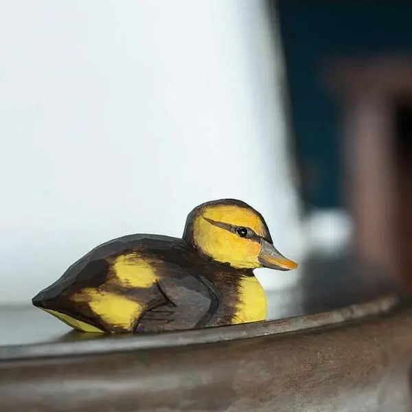 Houten Eendenjong 1 Houten Eendenjong