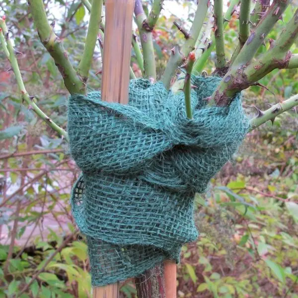 Videx Jute Band - Groen - 12 Cm × 3 M 3 Videx Jute Band - Groen - 12 Cm × 3 M - Afbeelding 3