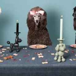 Kandelaar Fatboy® Can-Dolly - Design Antraciet -Tuinbeelden winkel kandelaar fatboy candolly antraciet 1622464523 2 600