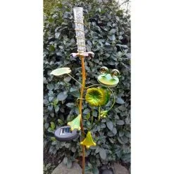 Kikker Met Solar Bloem