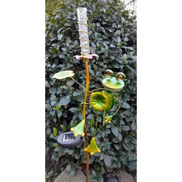 Kikker Met Solar Bloem 1 Kikker Met Solar Bloem