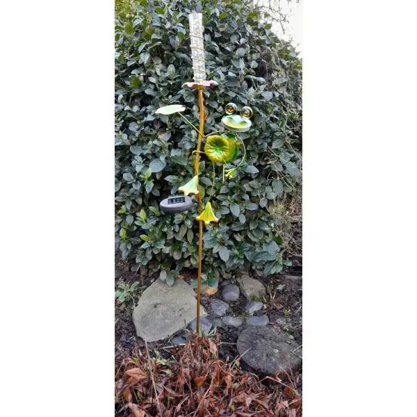 Kikker Met Solar Bloem 2 Kikker Met Solar Bloem - Afbeelding 2