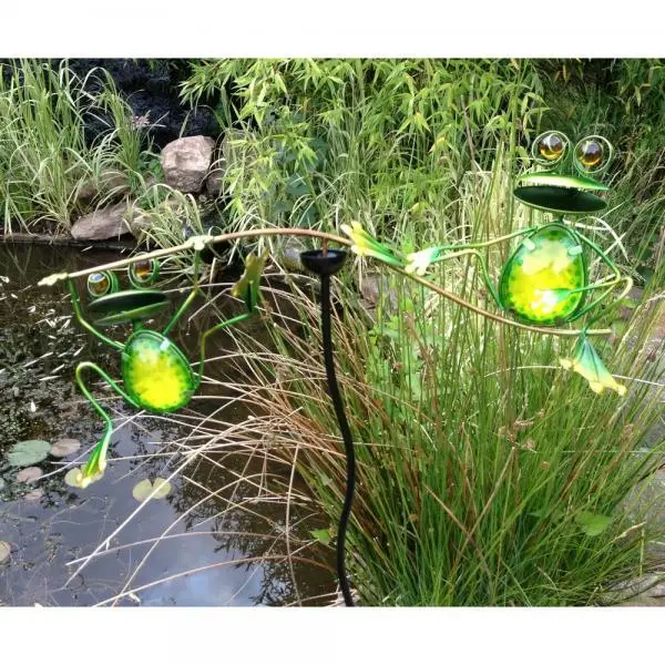 Schommelend Kikkerduo Op Pin 1 Schommelend Kikkerduo Op Pin