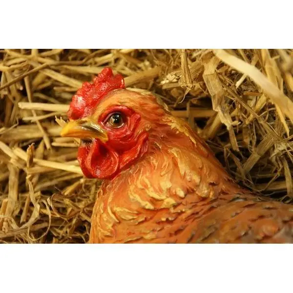 Zittende Kip BRUIN - Levensecht 2 Zittende Kip BRUIN - Levensecht - Afbeelding 2