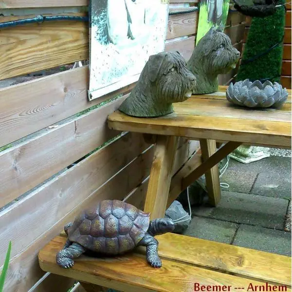 Landschildpad - Levensecht 2 Landschildpad - Levensecht - Afbeelding 2