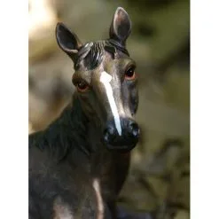 Liggend Paard Met Veulen - Levensecht -Tuinbeelden winkel liggend paard met veulen levensecht 1484061235 3 600