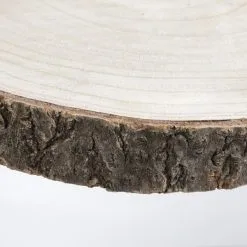 Mica Decorations MICA Pia Boomstam Bijzettafel - Ø 40 × 14 Cm -Tuinbeelden winkel mica pia bijzettafel 40 x 14 cm 1669890379 4 600