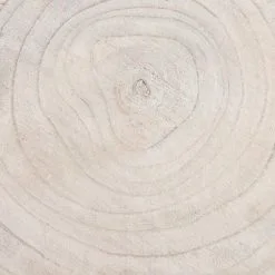 Mica Decorations MICA Pia Boomstam Bijzettafel - Ø 40 × 14 Cm -Tuinbeelden winkel mica pia bijzettafel 40 x 14 cm 1669890379 5 600