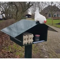 Nieuwsgierige Kip Tuinbeeld -Tuinbeelden winkel nieuwsgierige kip 1609930328 1 600