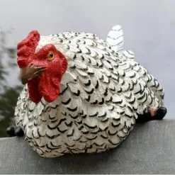 Tuinbeelden winkel -Tuinbeelden winkel nieuwsgierige tafelkip 1568377839 2 600