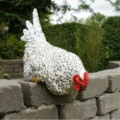 Nieuwsgierige Kip Tuinbeeld -Tuinbeelden winkel nieuwsgierige tafelkip 1568377839 3 600