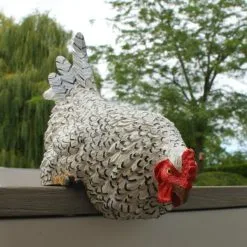 Nieuwsgierige Kip Tuinbeeld -Tuinbeelden winkel nieuwsgierige tafelkip 1568377840 5 600