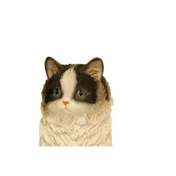 Prachtig Katje - Beeld 2 Prachtig Katje - Beeld - Afbeelding 2