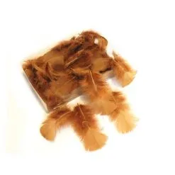 Decoratieve Pluimen - Bruin