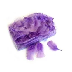 Decoratieve Pluimen - Lila