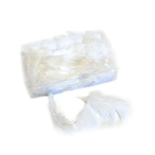Decoratieve Pluimen - Wit 1 Decoratieve Pluimen - Wit