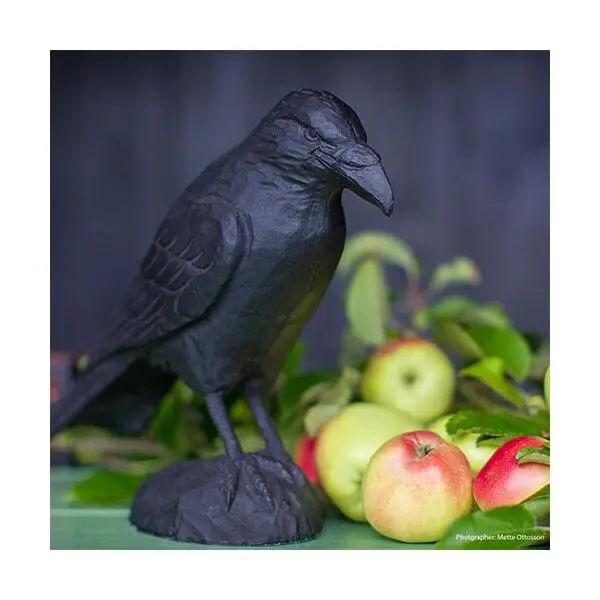 Raaf In Gietijzer 2 Raaf In Gietijzer - Afbeelding 2