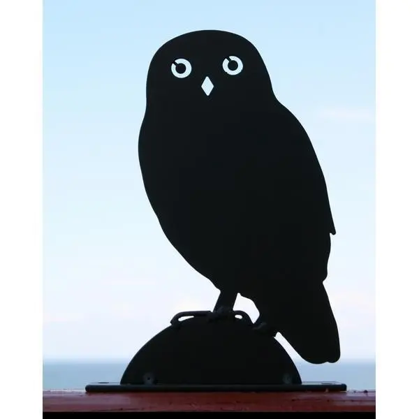 Silhouet Steenuil 1 Silhouet Steenuil