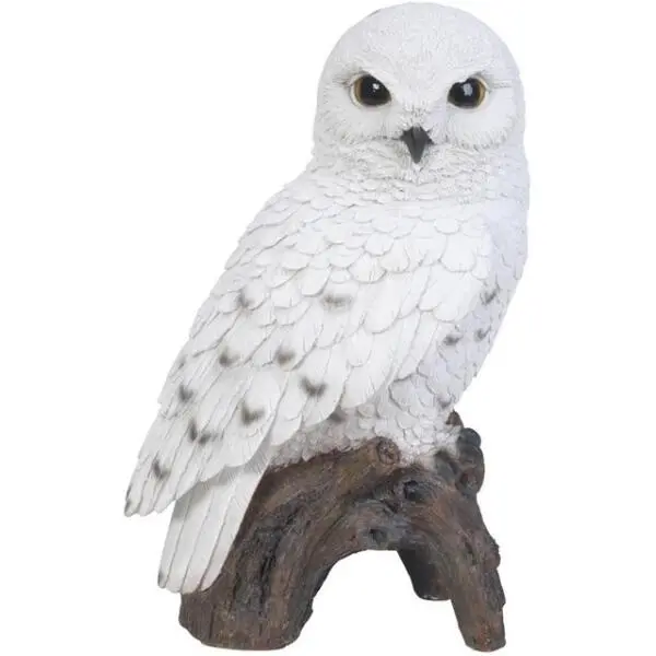 Sneeuwuil Op Stam 1 Sneeuwuil Op Stam