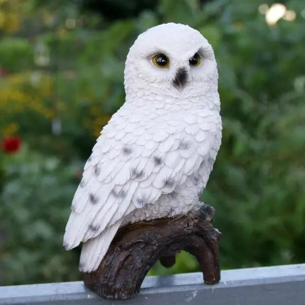 Sneeuwuil Op Stam 2 Sneeuwuil Op Stam - Afbeelding 2