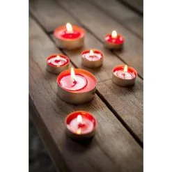 Spaas Theelicht Maxi Appel Kaneel - 10 Uren - Set Van 12 Stuks -Tuinbeelden winkel theelicht appel kaneel 10 u 1682077243 1 600