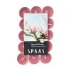 Spaas Theelicht Magnolia - 4,5 Uren - Set Van 30 Stuks