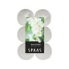 Spaas Theelicht Maxi Jasmijn - 10 Uren - Set Van 12 Stuks
