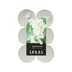 Spaas Theelicht Maxi Jasmijn - 10 Uren - Set Van 12 Stuks