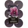 Spaas Theelicht Maxi Wilde Orchidee - 10 Uren - Set Van 12 Stuks