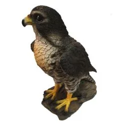 Valk Tuinbeeld 26 Cm -Tuinbeelden winkel valk tuinbeeld 1568967776 2 600