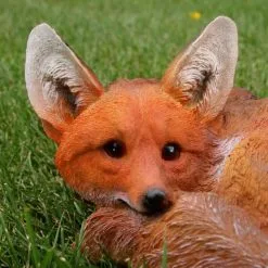 Vos Liggend -Tuinbeelden winkel vos liggend 1569416943 2 600