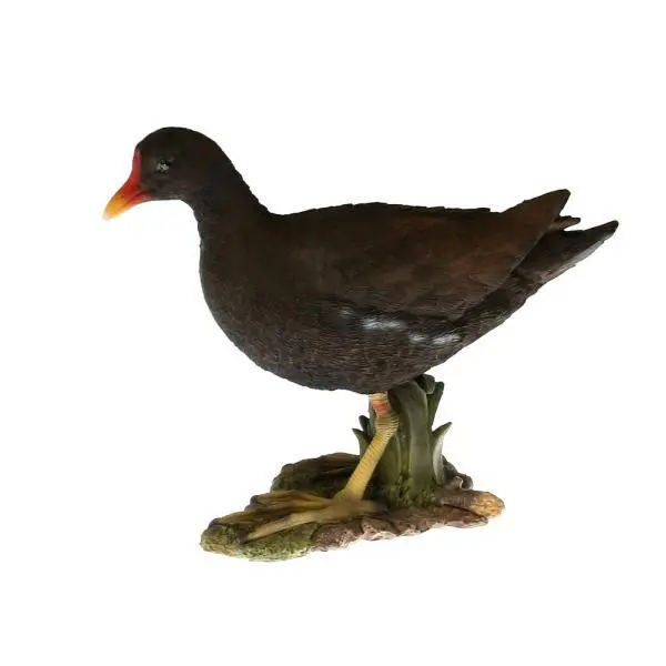 Waterhoen Tuinbeeld 3 Waterhoen Tuinbeeld - Afbeelding 3